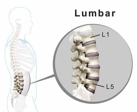 side view of the spine with a zoom on the lumbar spine